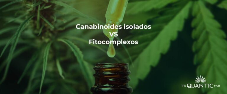 canabinoides-vs-fitocomplexos